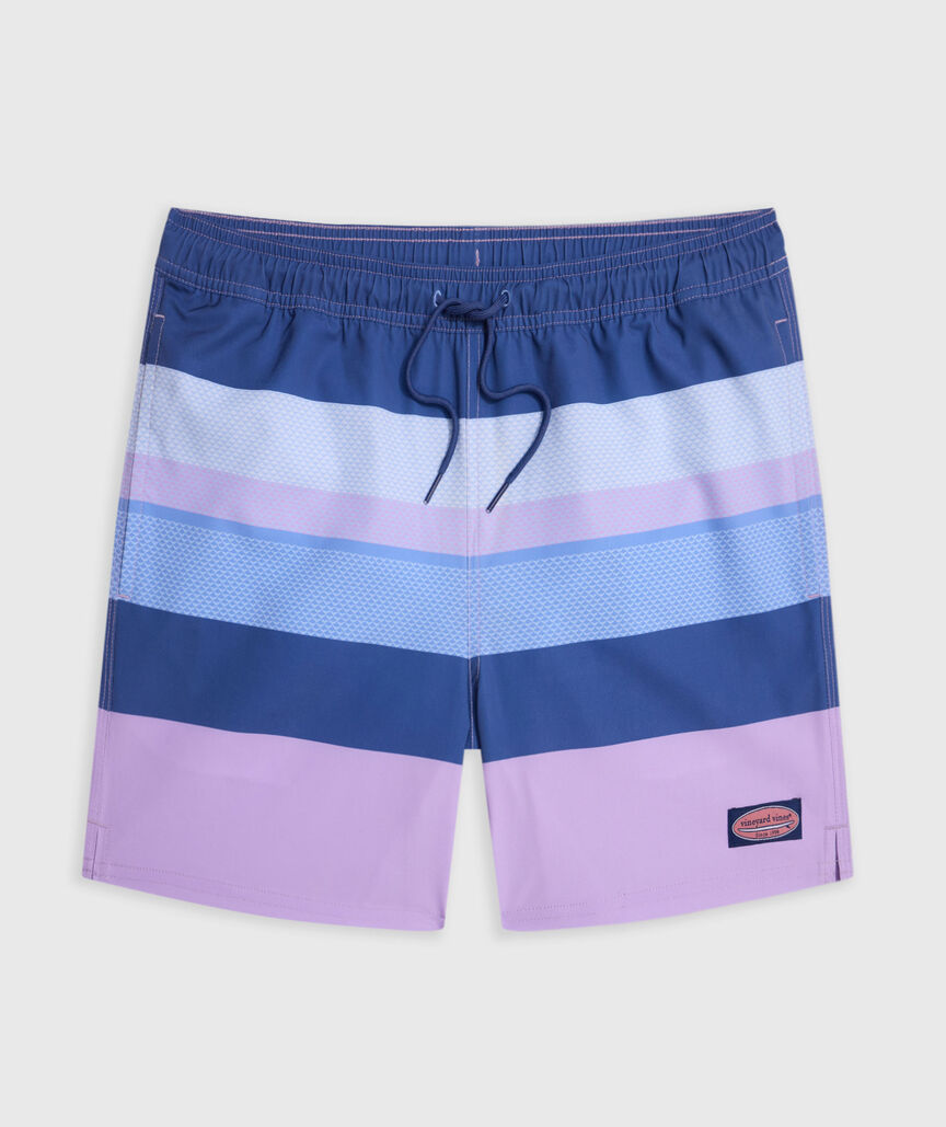 OUTLET 5 Inch Whale Tail Stripe Chappy Swim Trunks