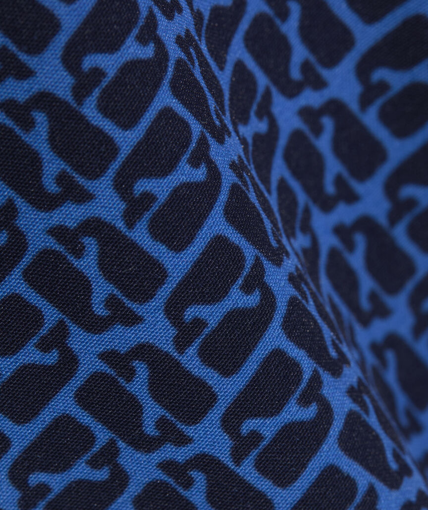 5 Inch Printed Chappy Swim Trunks