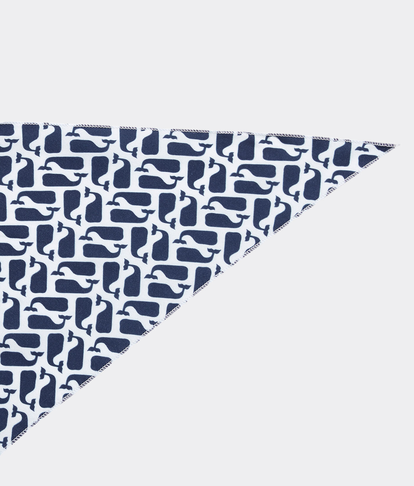 automatic cat feeder multiple cats