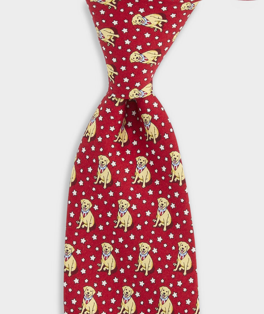 Boys' Paw-triotic Pup Silk Tie