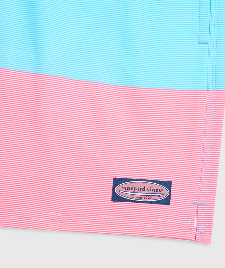 OUTLET 7 Inch Engineered Stripe Chappy Swim Trunks