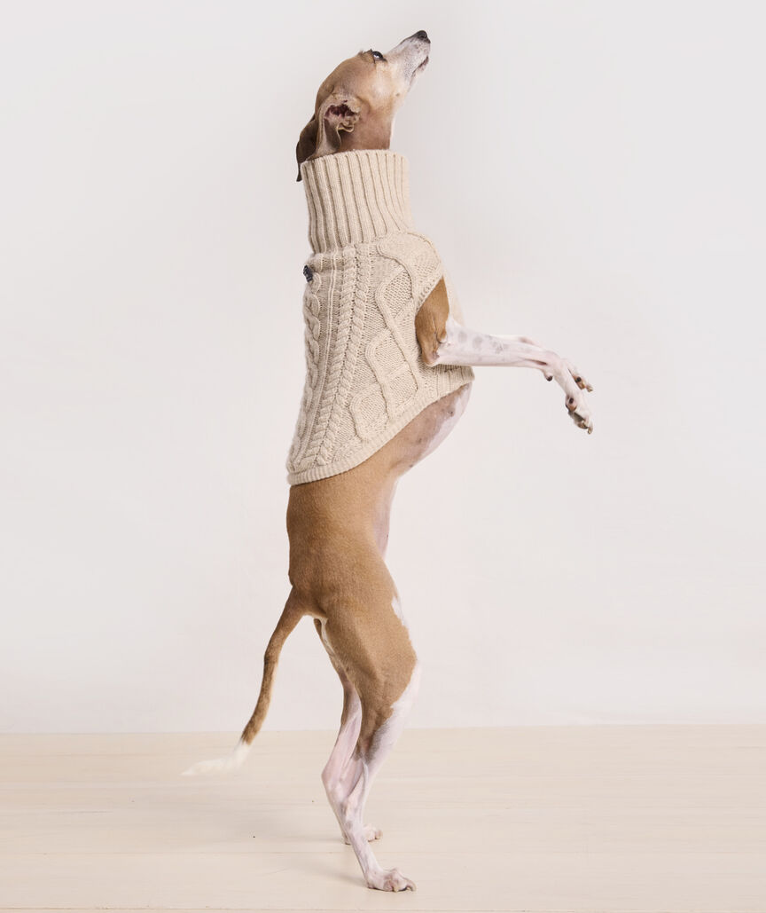 Pet Fisherman Cable Wool Sweater