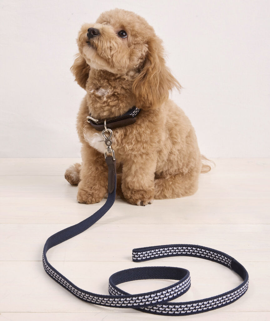 Micro Whale Leather Canvas Club Dog Leash