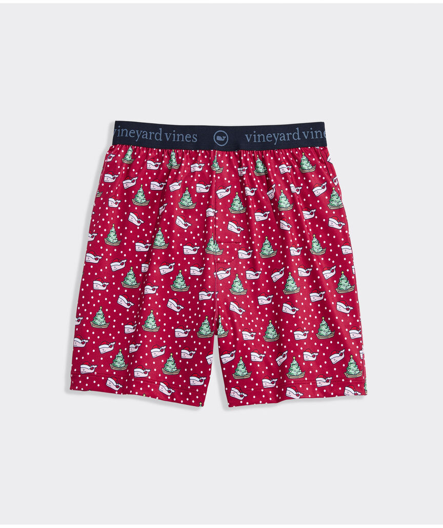 Boys' Performance Sankaty Boxers