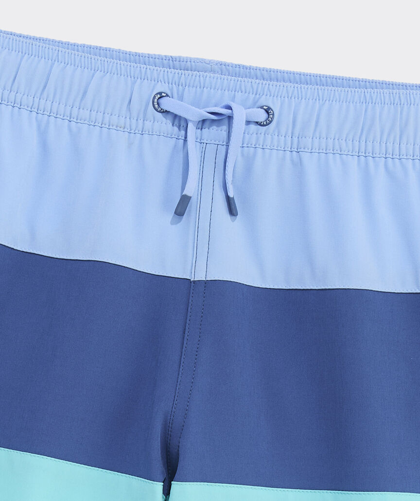 Boys' Colorblock Chappy Swim Trunks