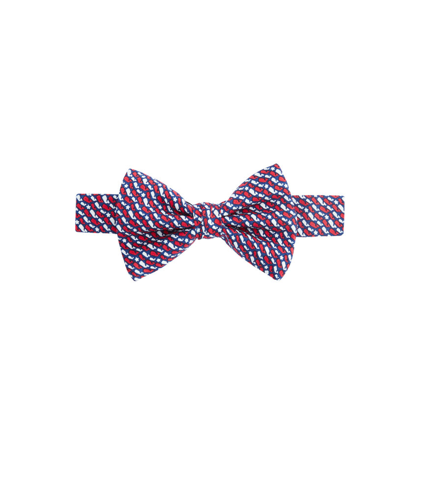 Boys Whale Stars & Stripes Bow Tie