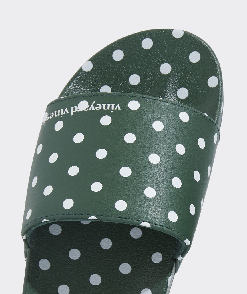 Polka Dot Pool Slides