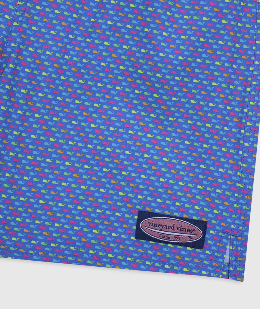 OUTLET Boys' Multi Micro Whale Chappy Swim Trunks