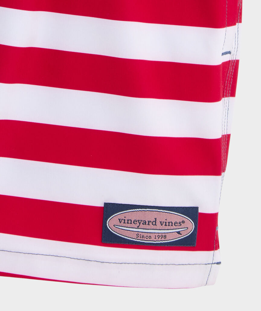 Boys' Short Liner Chappy Swim Trunks