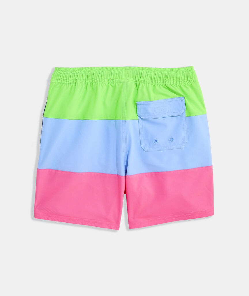 Boys' Colorblock Chappy Swim Trunks