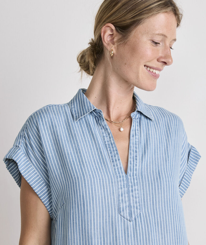 Margo Pinstripe Shirtdress