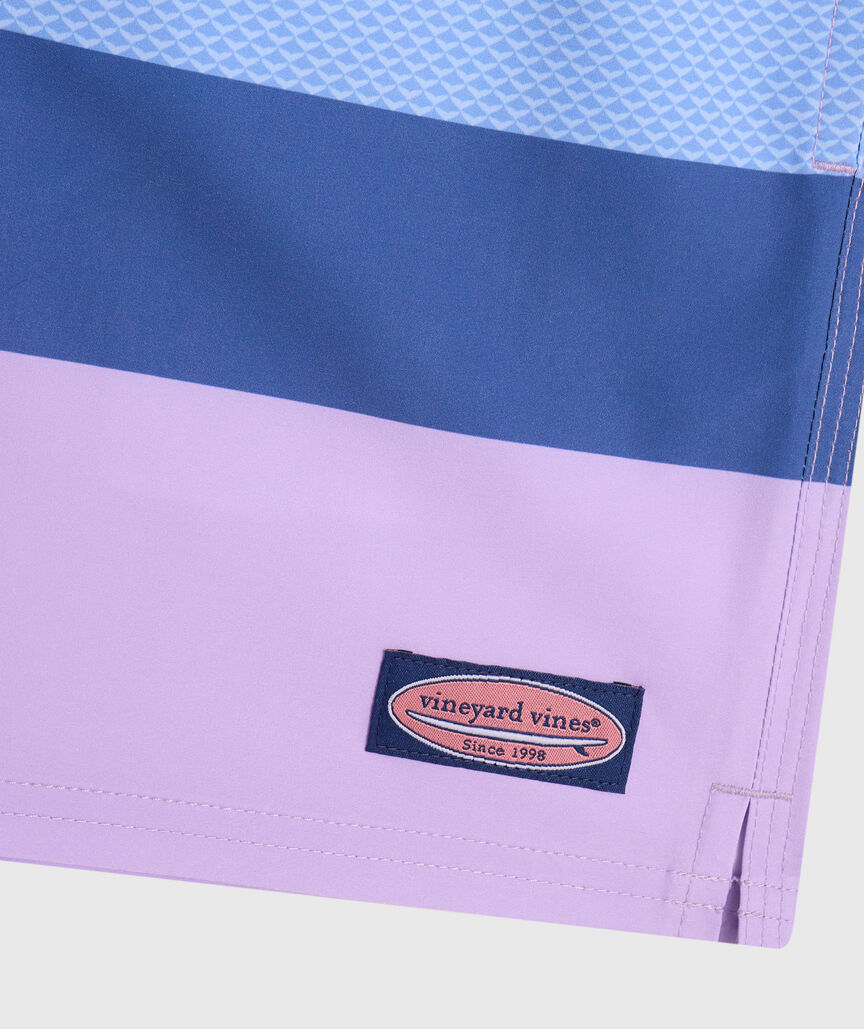 OUTLET 5 Inch Whale Tail Stripe Chappy Swim Trunks
