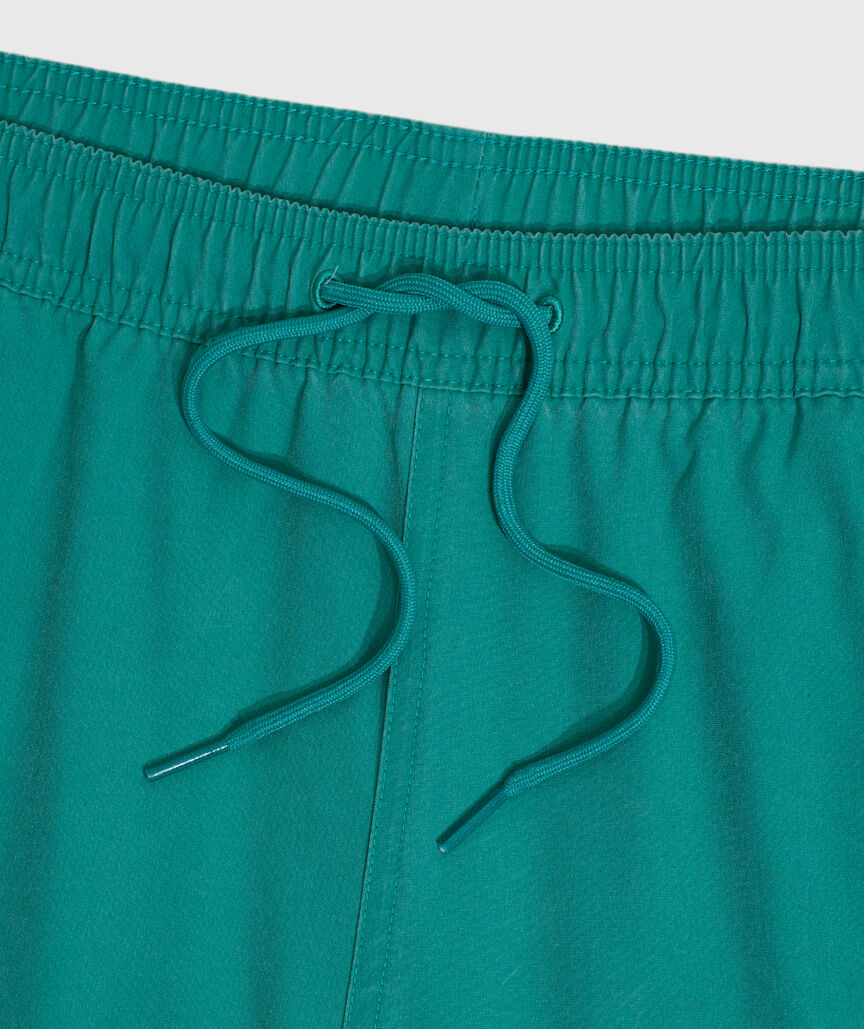 OUTLET 5 Inch Sunwashed Chappy Swim Trunks