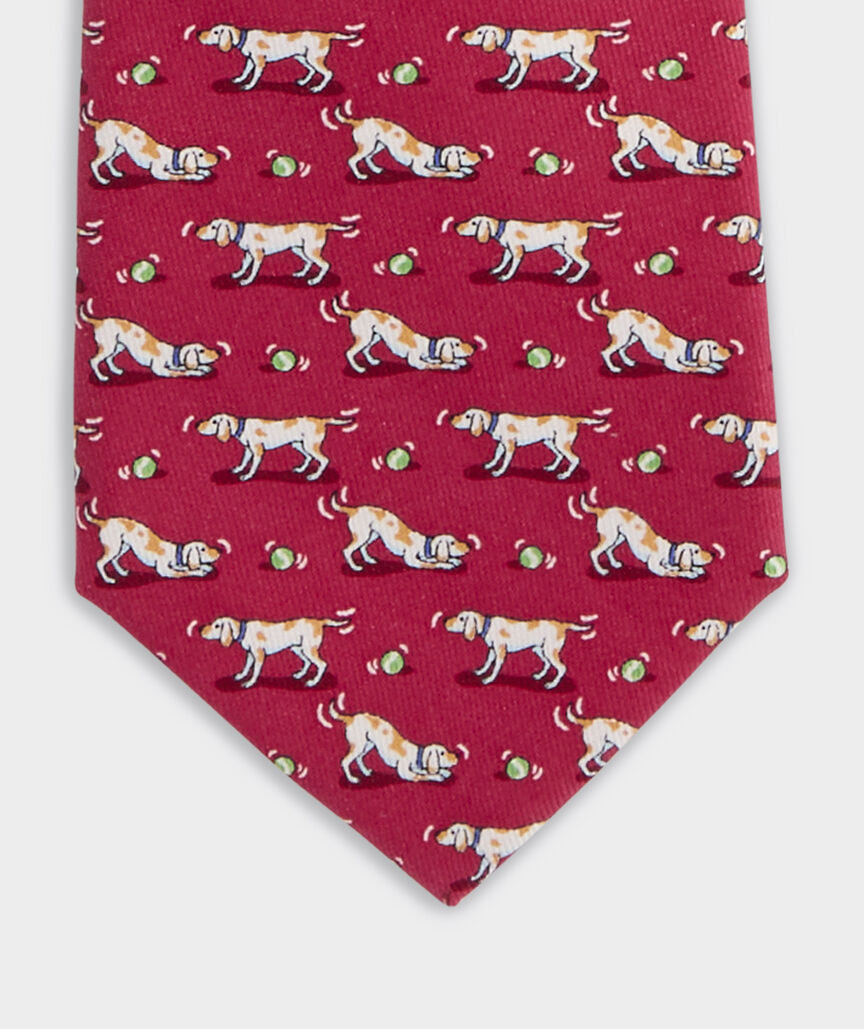 Boys' Play Fetch Silk Tie