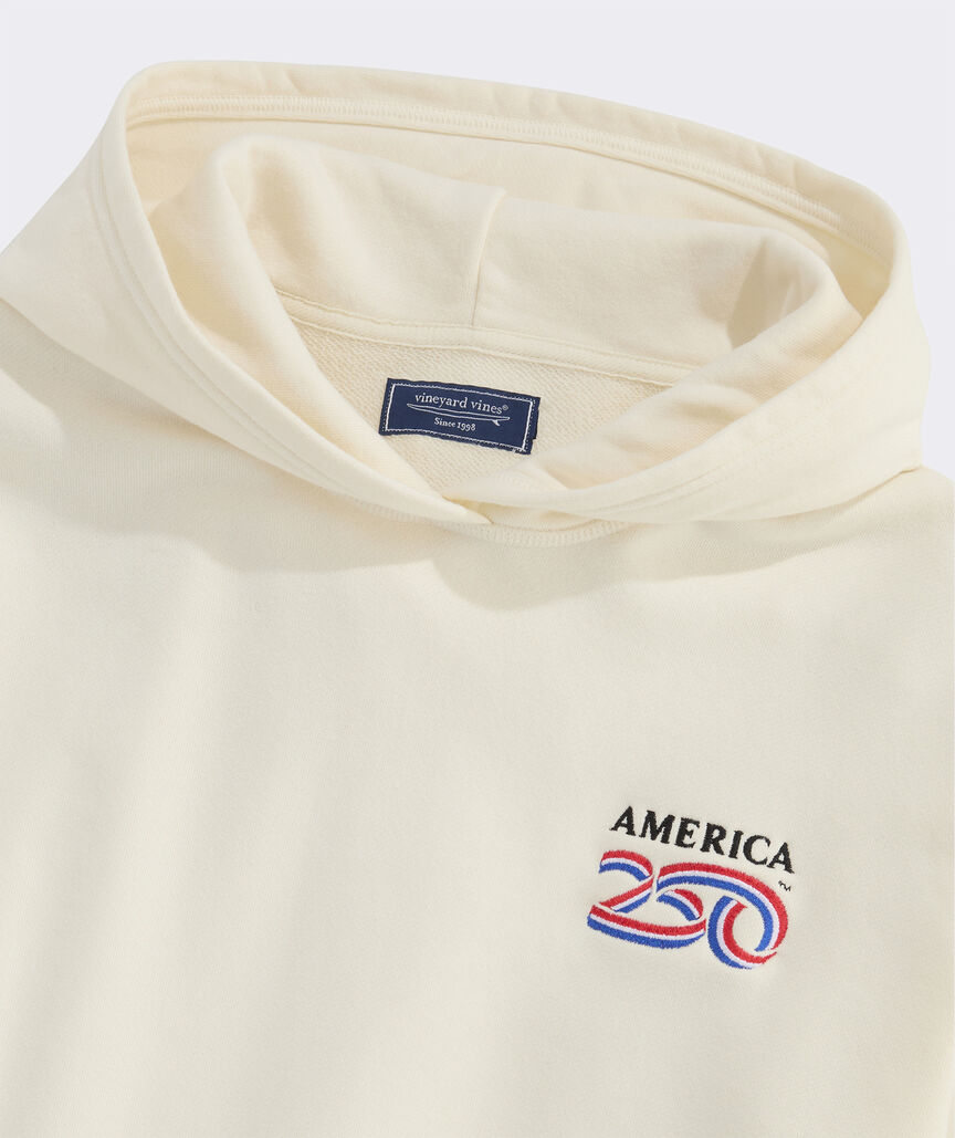 America250 Surf Terry Hoodie