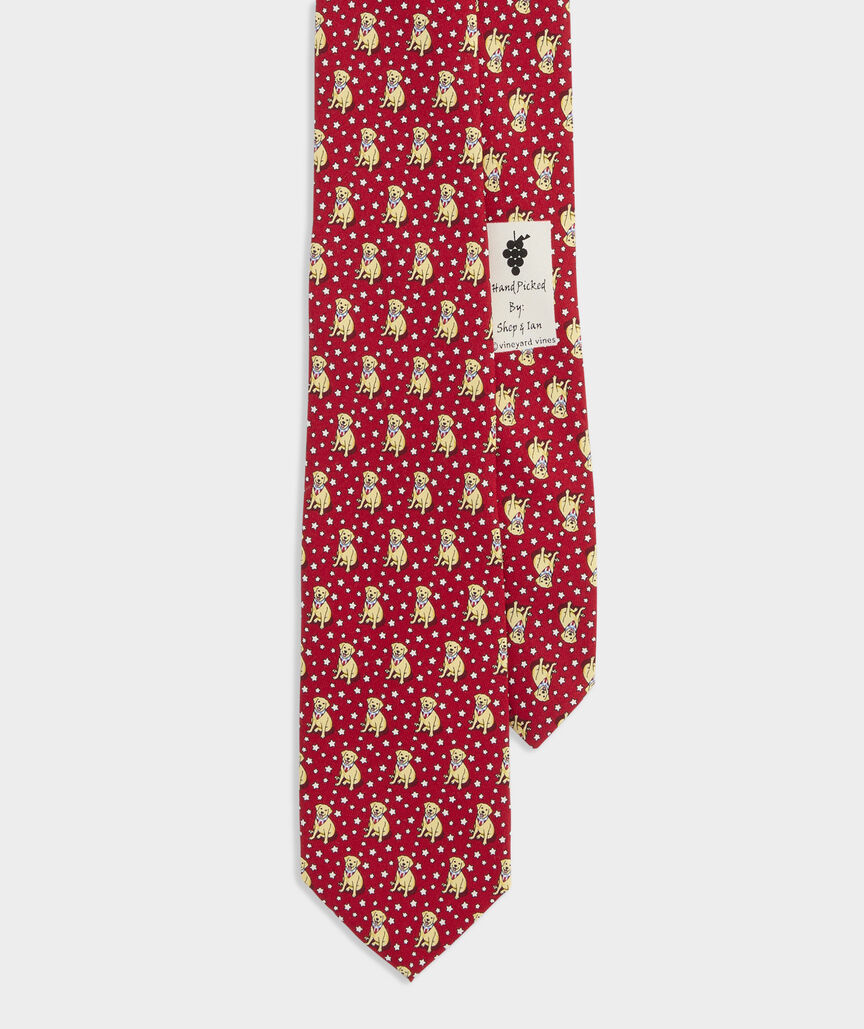Boys' Paw-triotic Pup Silk Tie