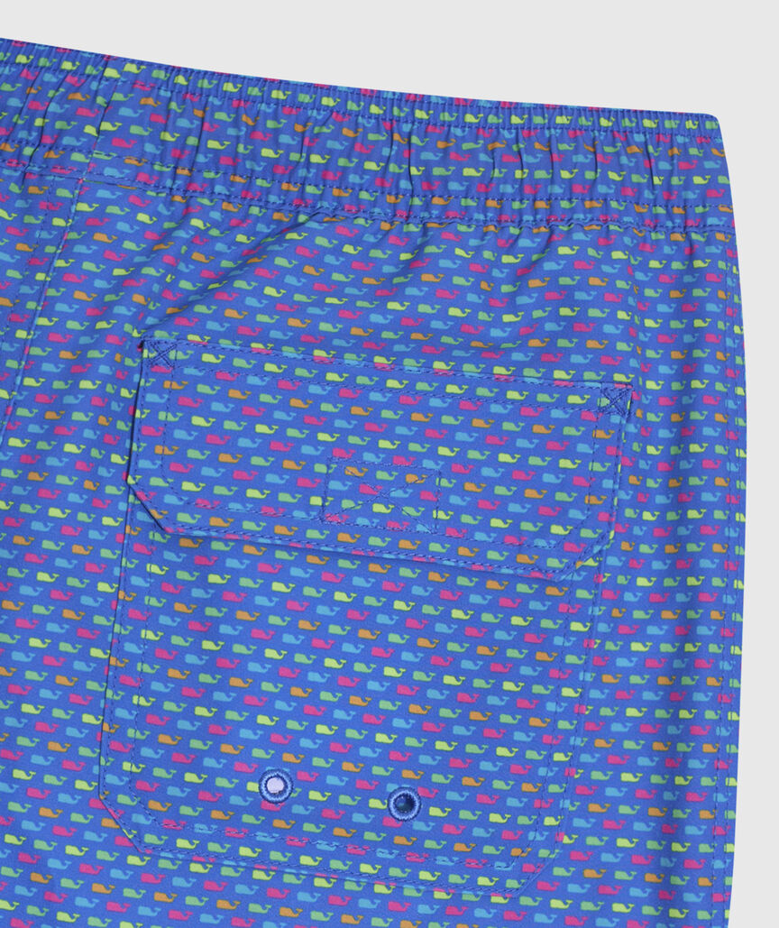 OUTLET Boys' Multi Micro Whale Chappy Swim Trunks