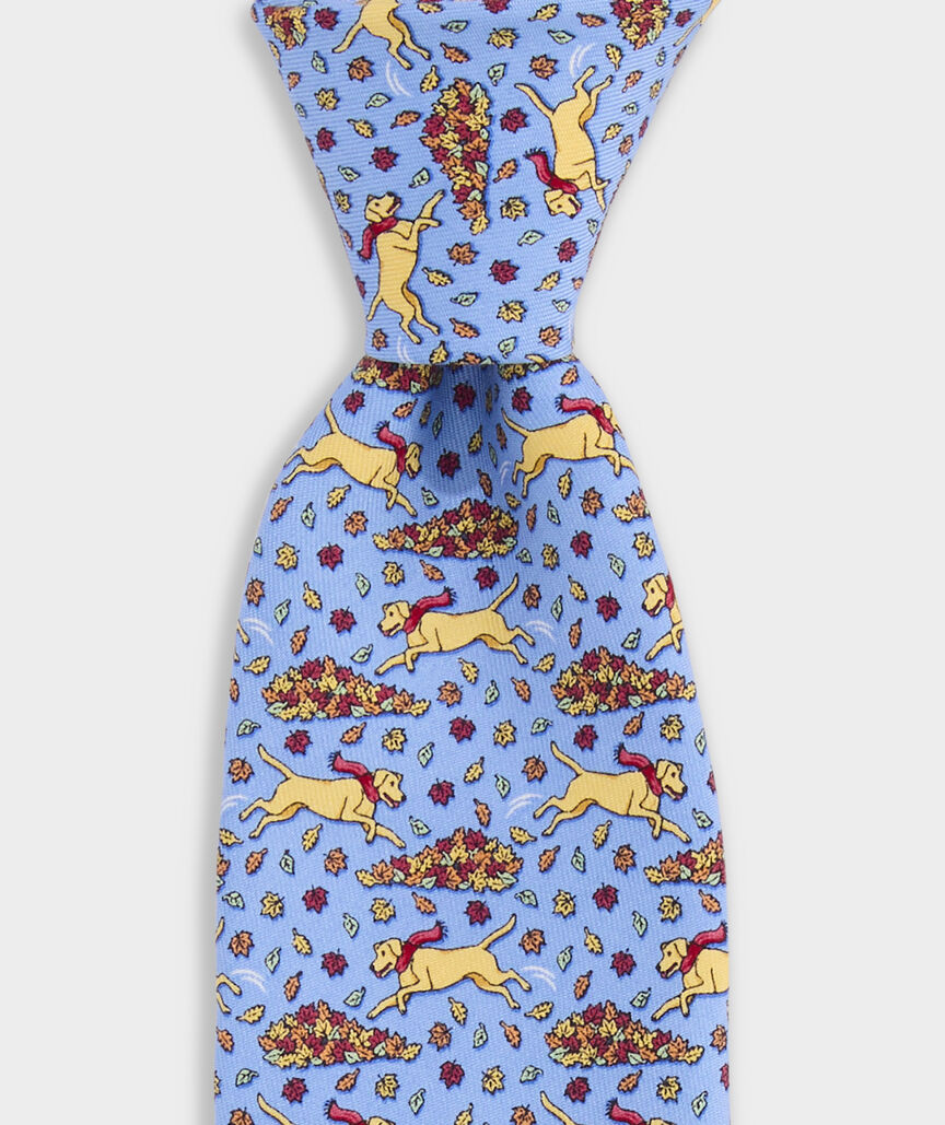 Boys' Lab Leaf Pile Silk Tie