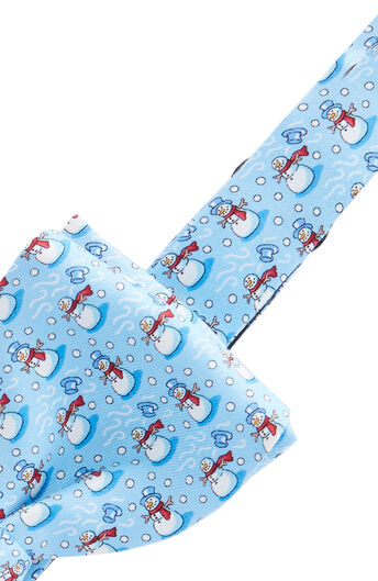 Mens Bow Ties: Shop Silk Bow Ties for Men - vineyard vines