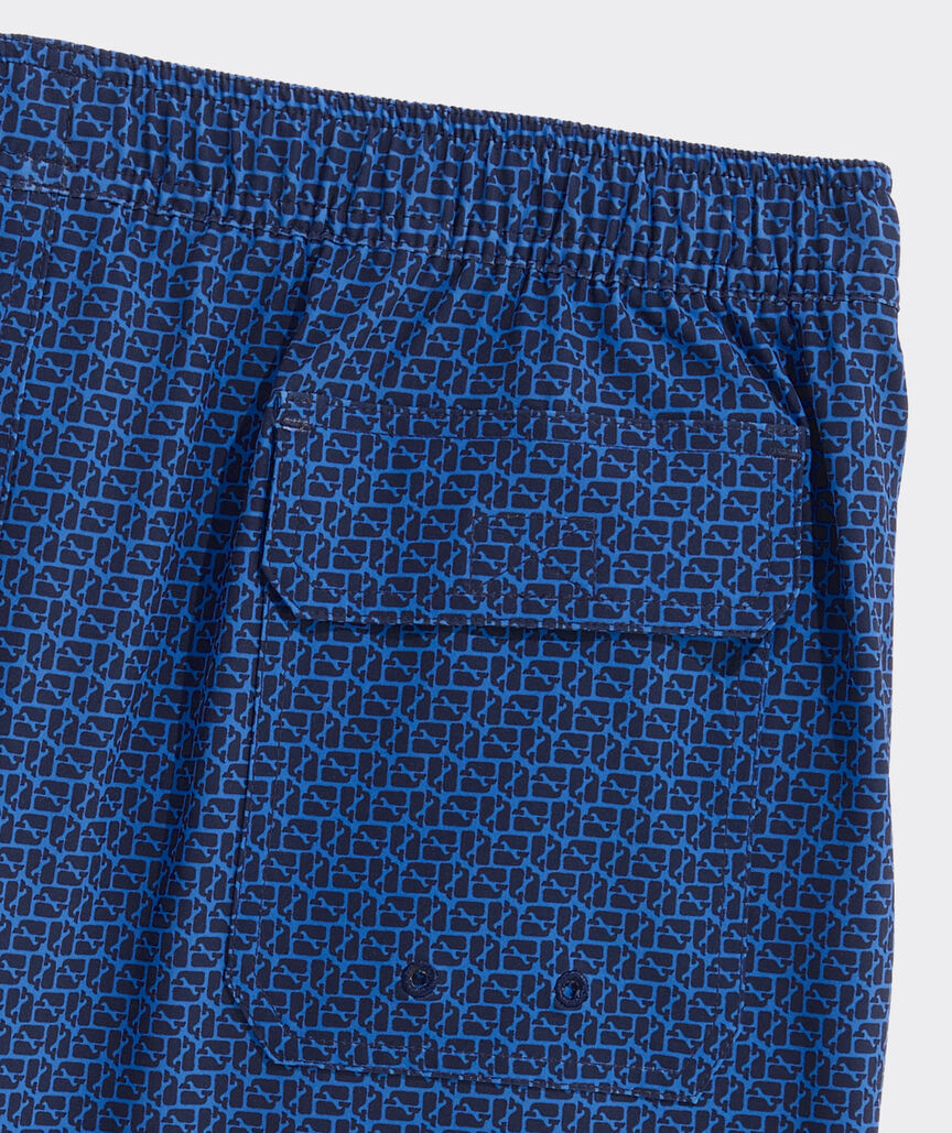 5 Inch Printed Chappy Swim Trunks