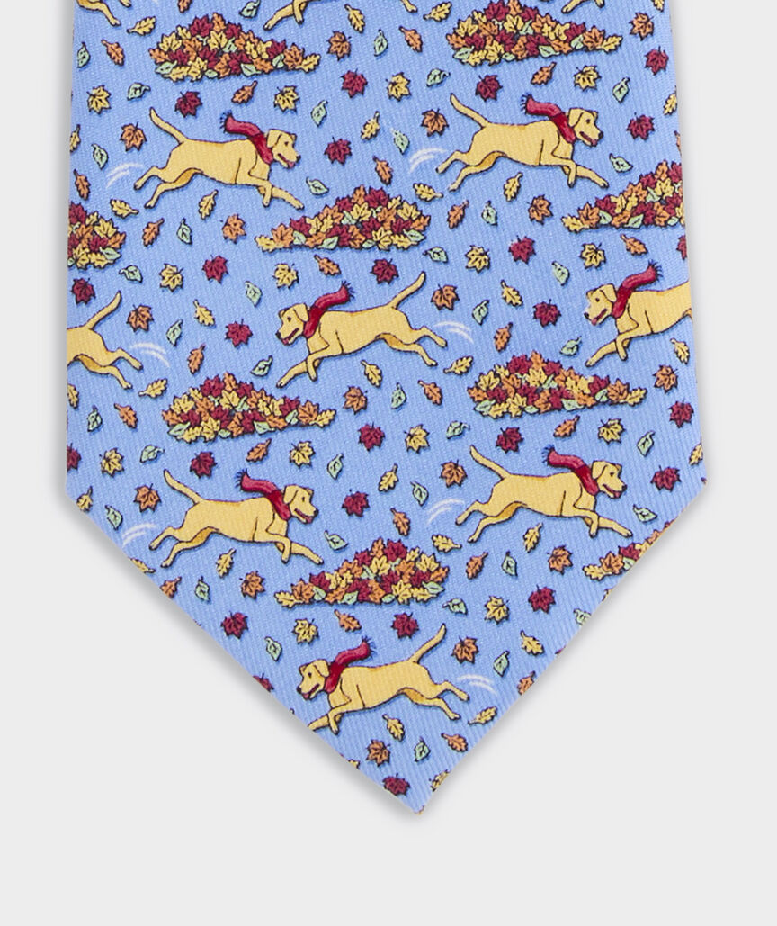 Boys' Lab Leaf Pile Silk Tie