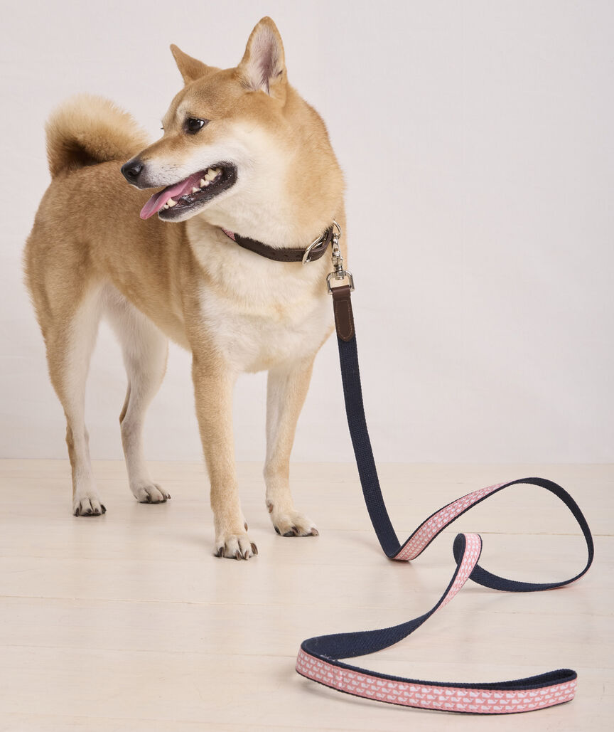 Micro Whale Leather Canvas Club Dog Leash