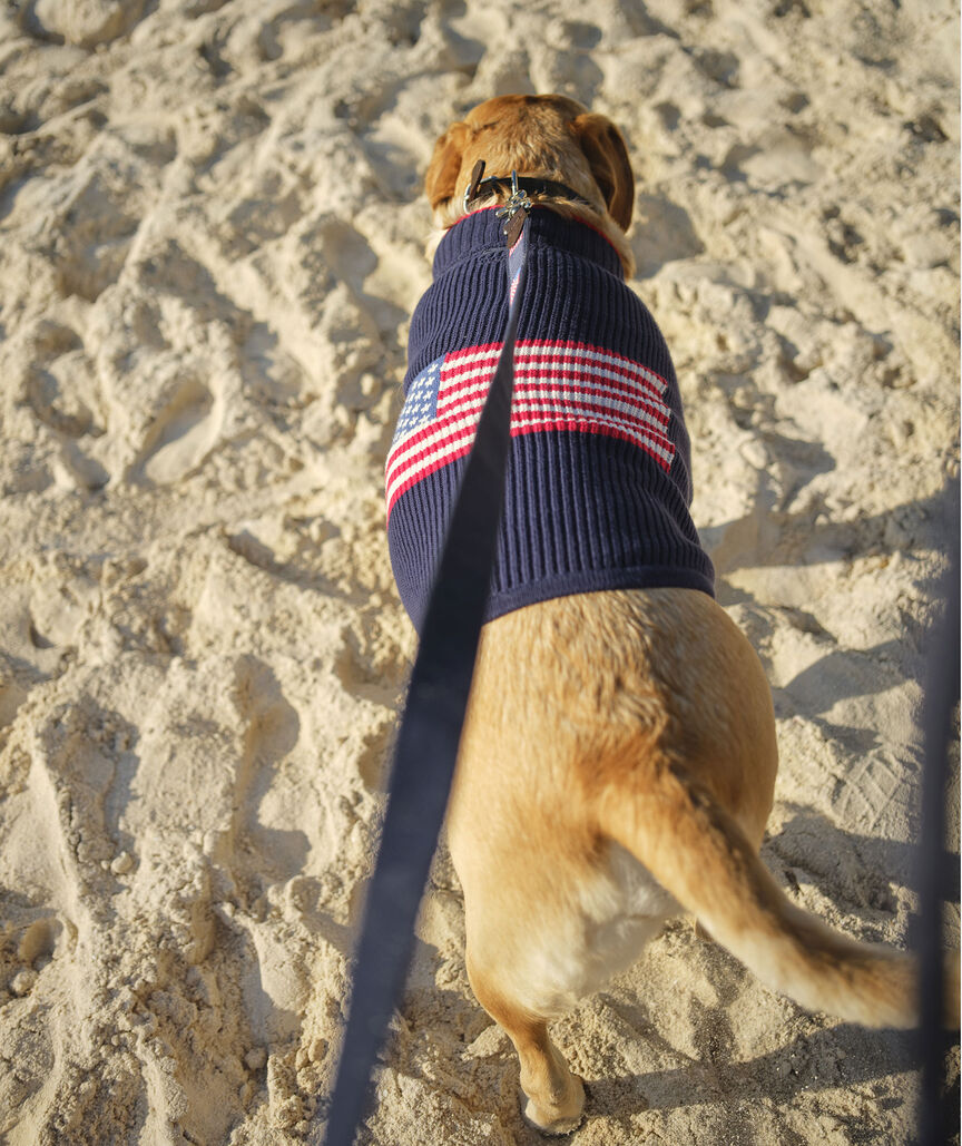 Americana Dog Sweater