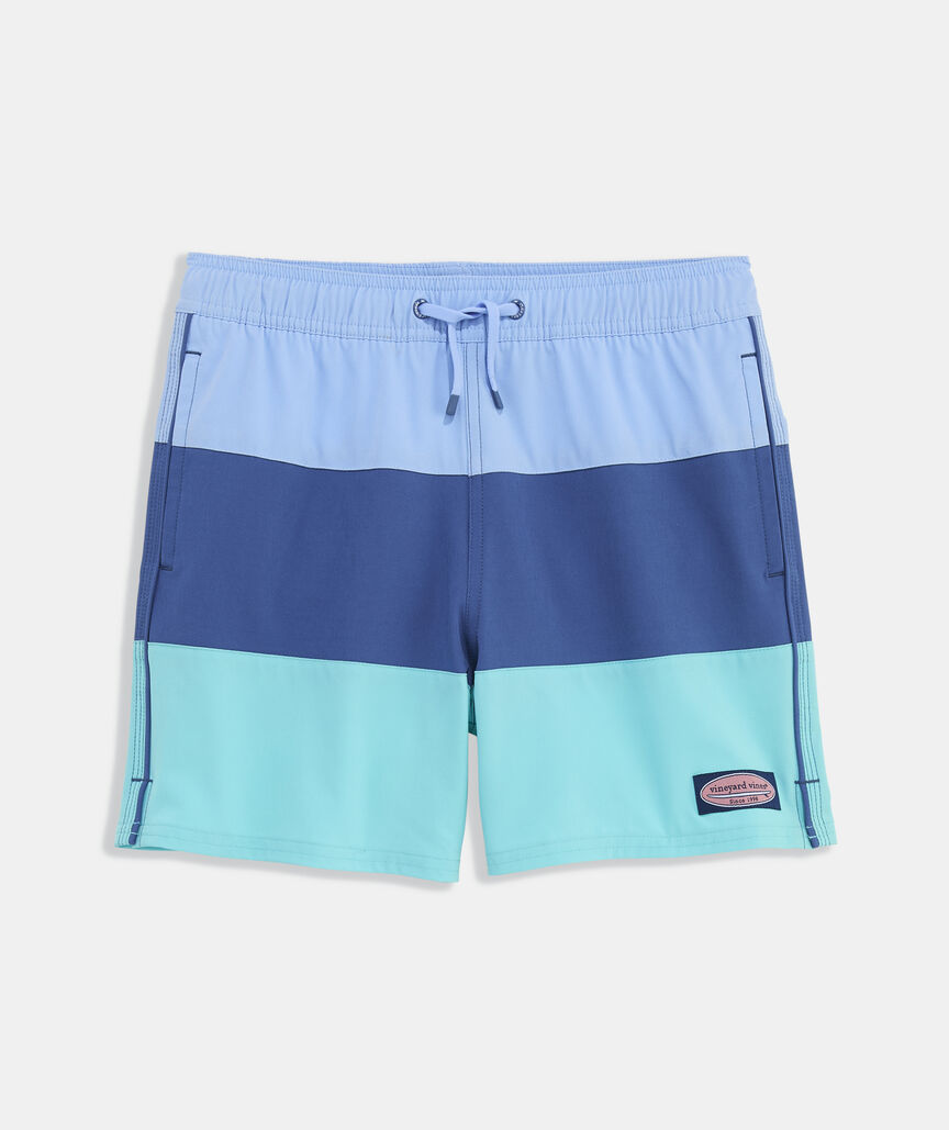 Boys' Colorblock Chappy Swim Trunks