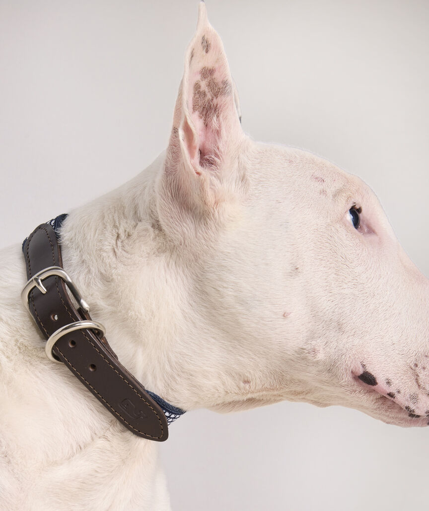 Micro Whale Leather Canvas Club Dog Collar