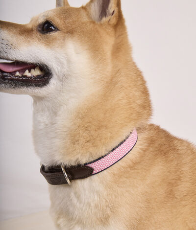 Vineyard Vines Micro Whale Leather Canvas Club Dog Collar (Pink Blossom) (Size: S)