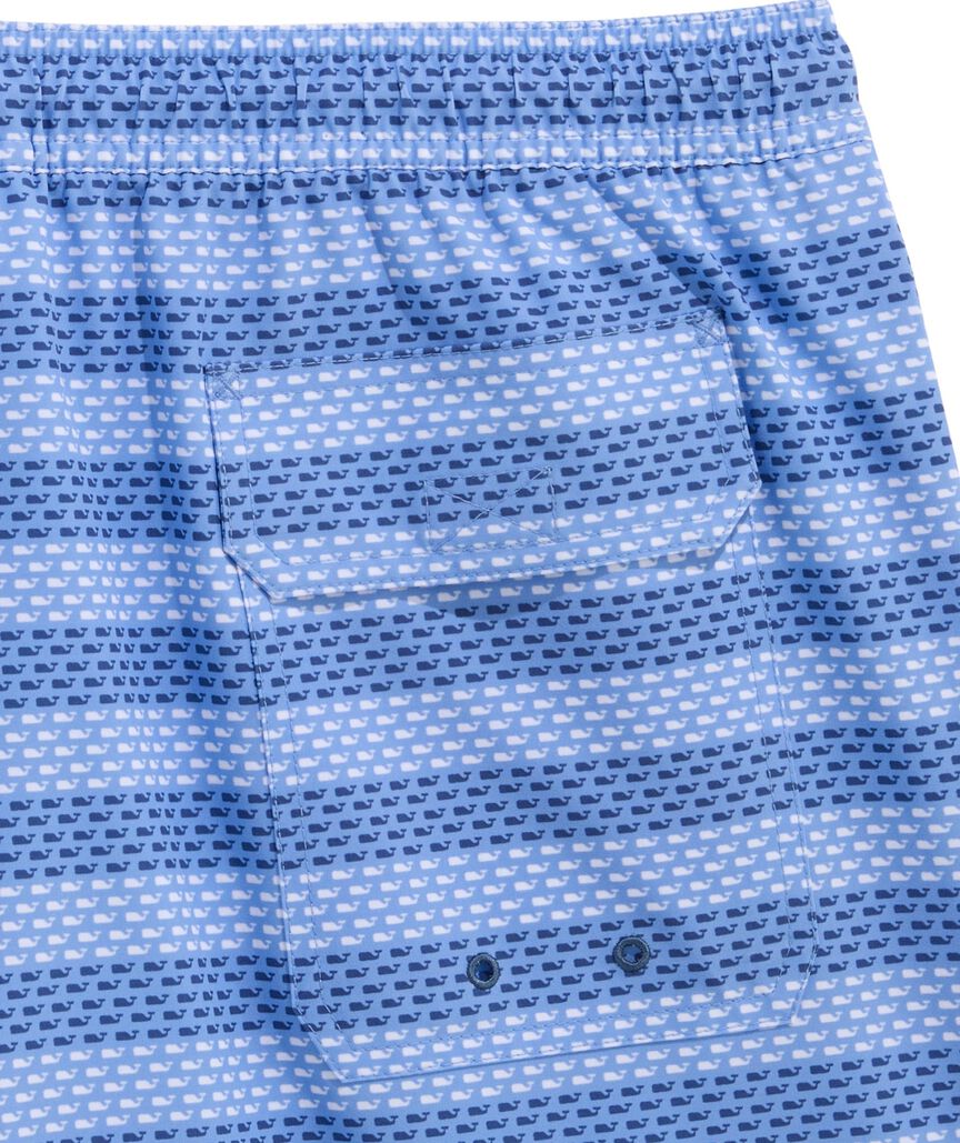 OUTLET 5 Inch Whale Stripe Chappy Swim Trunks