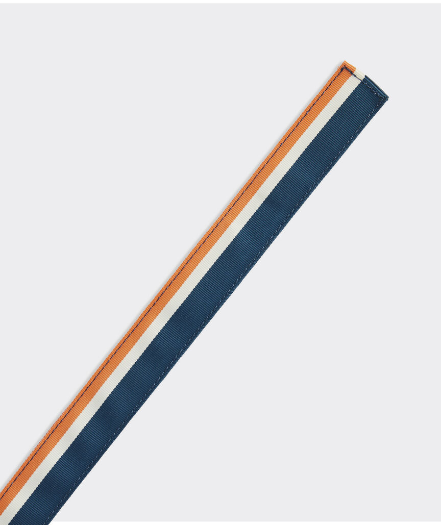Boys' Multi-Stripe Ribbon D-Ring Belt