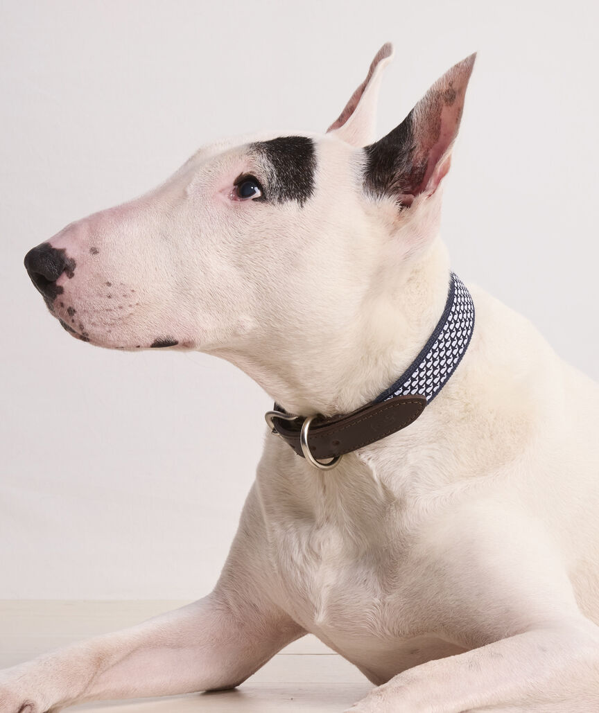 Micro Whale Leather Canvas Club Dog Collar