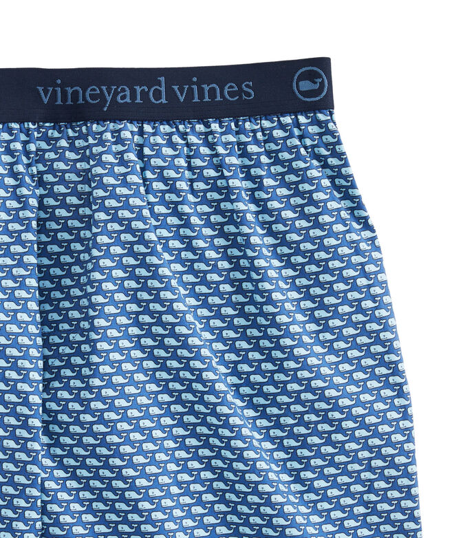 Shop Boys Vineyard Whale Underwear at vineyard vines