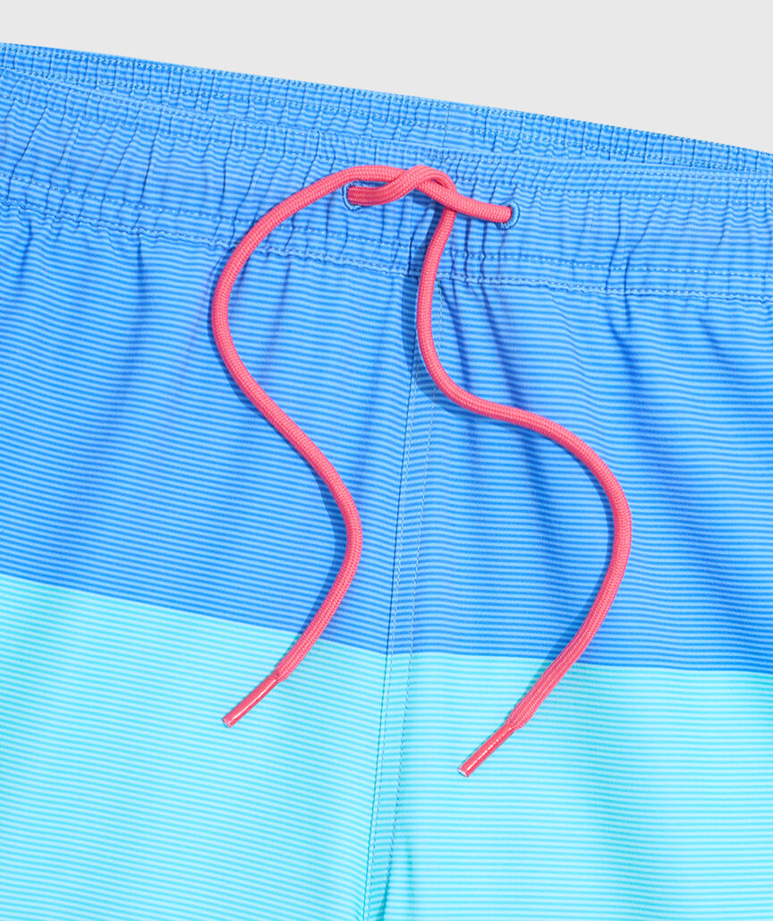 OUTLET 7 Inch Engineered Stripe Chappy Swim Trunks