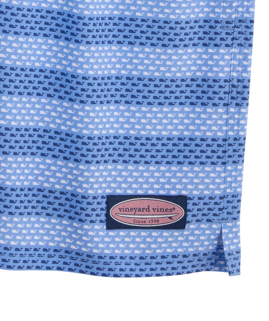 OUTLET 5 Inch Whale Stripe Chappy Swim Trunks
