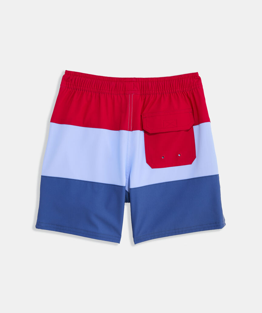 Boys' Colorblock Chappy Swim Trunks