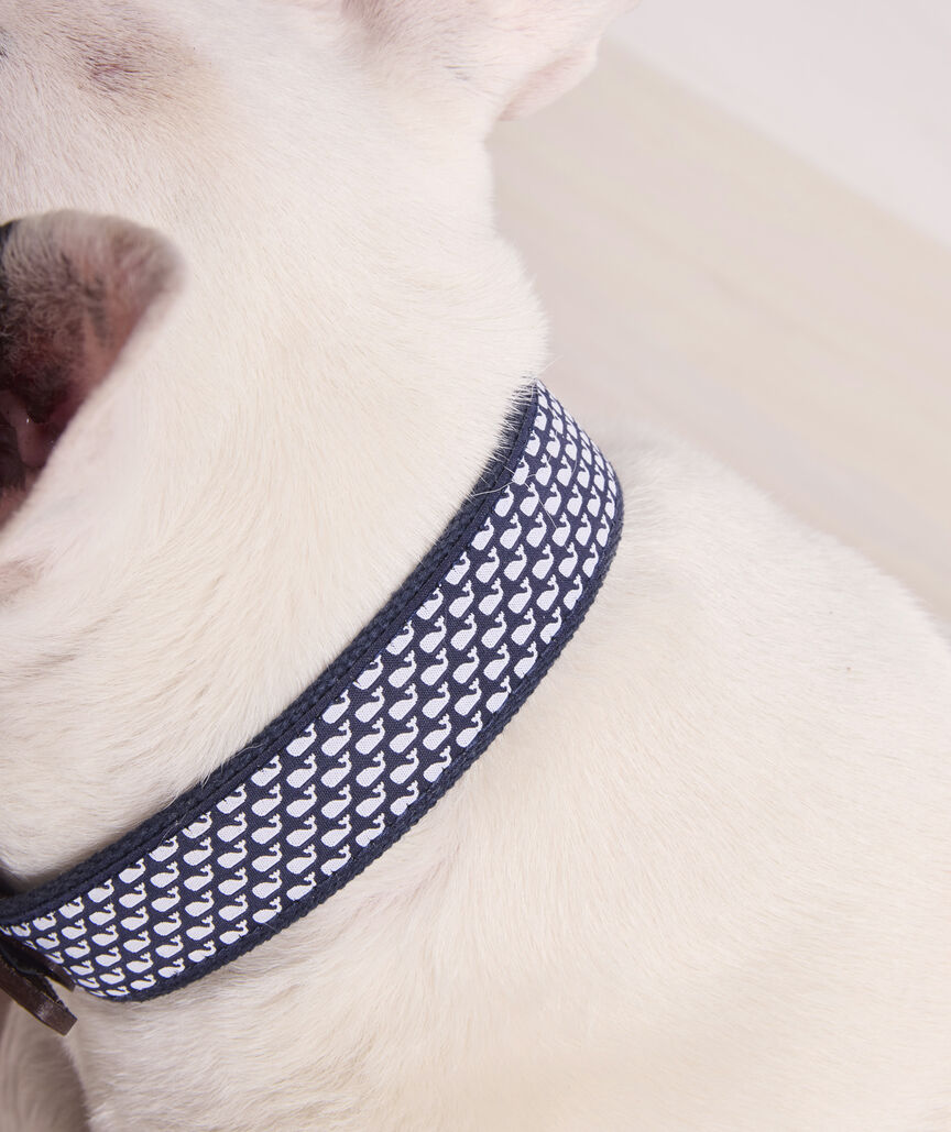 Micro Whale Leather Canvas Club Dog Collar