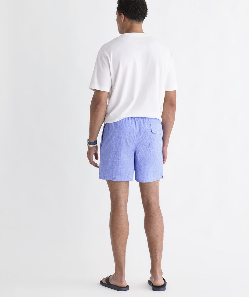 6 Inch Island Swim Trunks