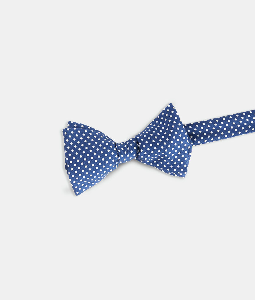 Polka Dot Printed Bow Tie