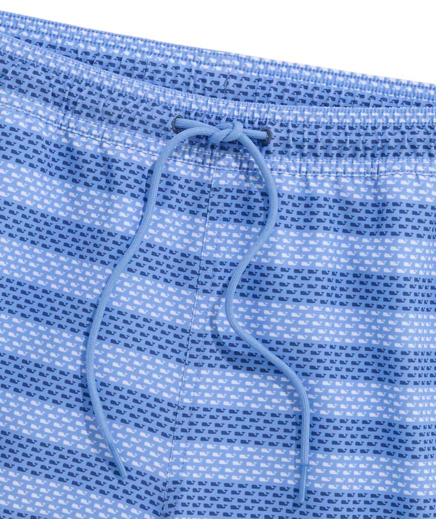 OUTLET 5 Inch Whale Stripe Chappy Swim Trunks