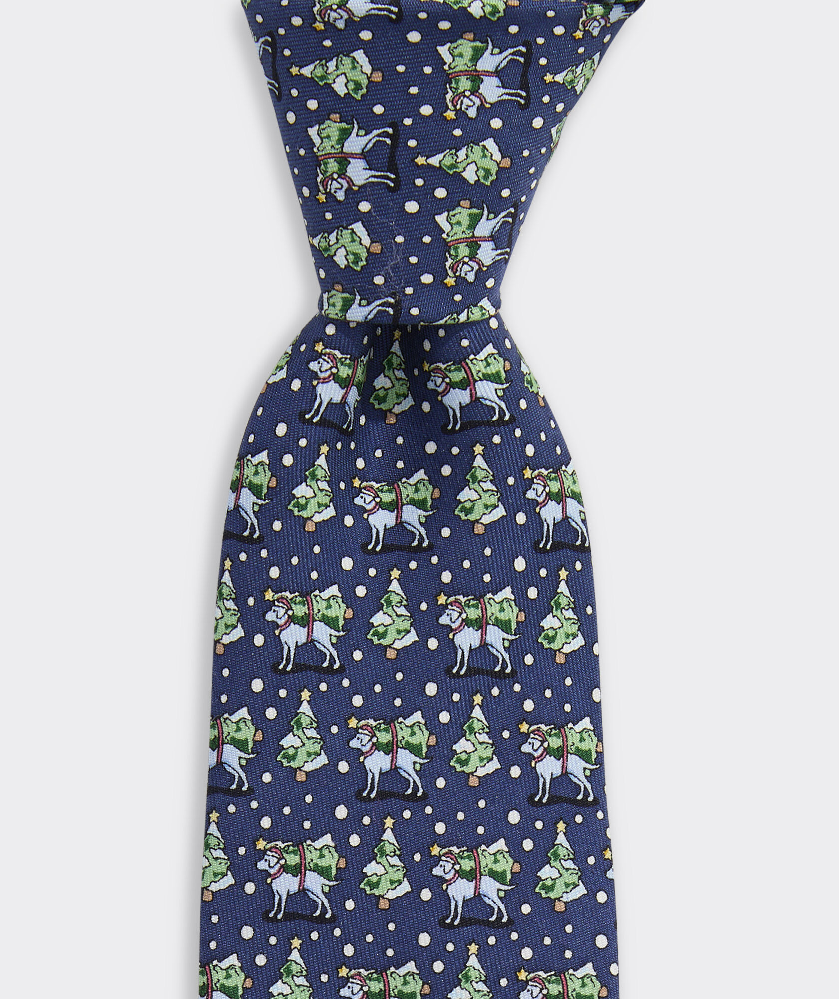 Boys' Dog & Tree Silk Tie