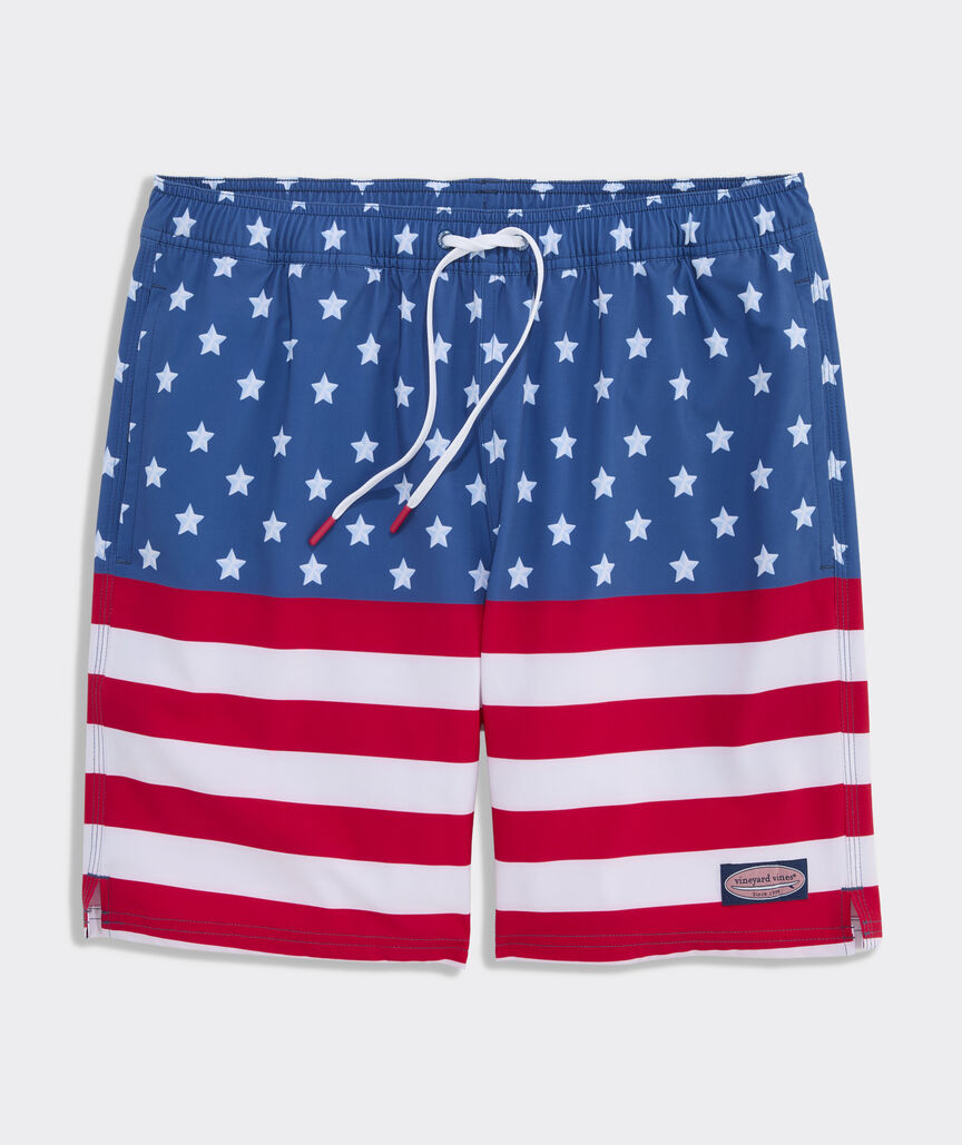 7 Inch Mesh Short Chappy Swim Trunks