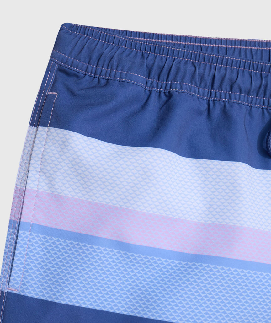 OUTLET 5 Inch Whale Tail Stripe Chappy Swim Trunks