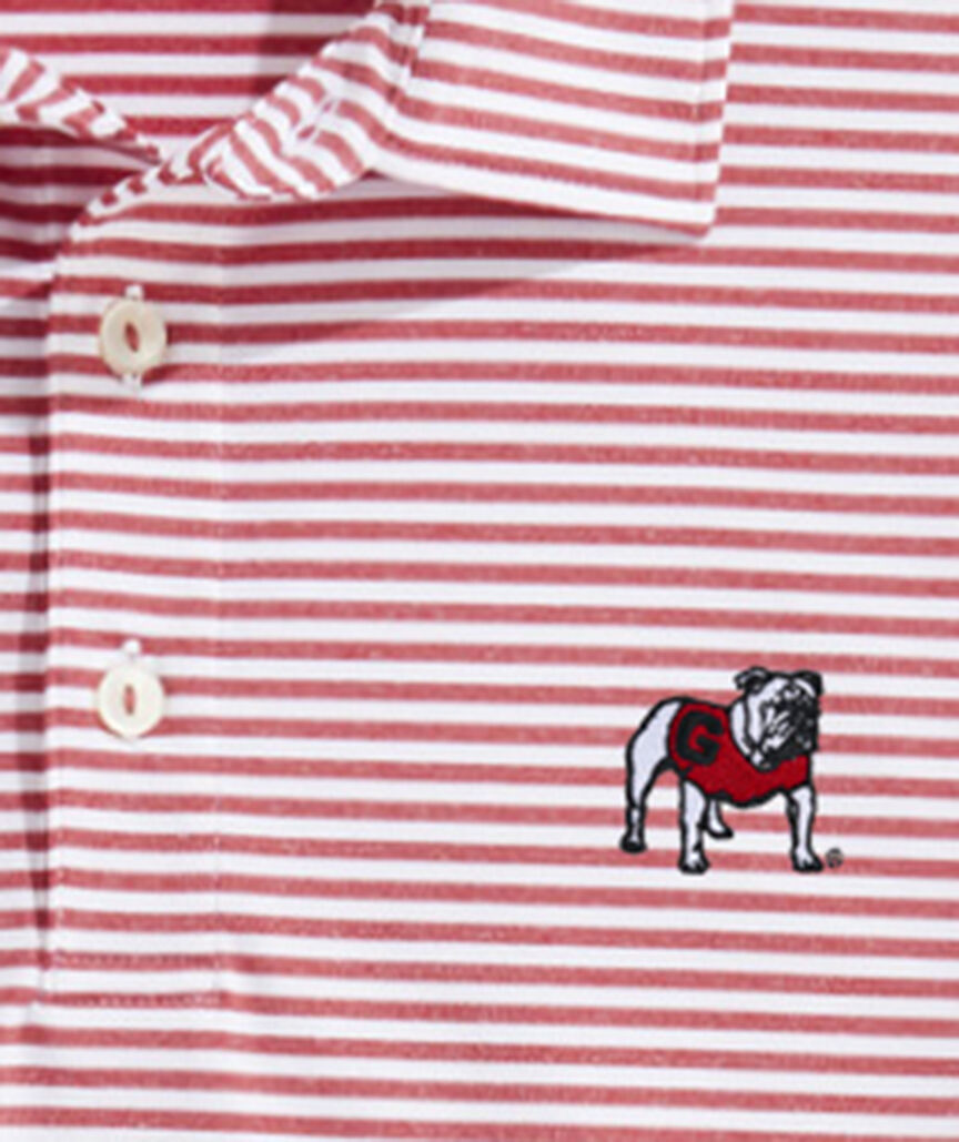 University of Georgia Winstead Stripe Sankaty Polo