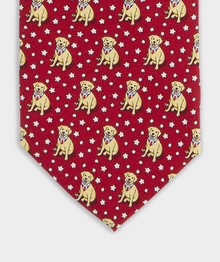 Boys' Paw-triotic Pup Silk Tie