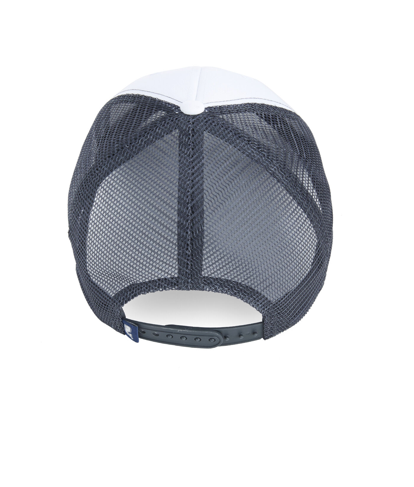 Whale Dot Performance Trucker Hat