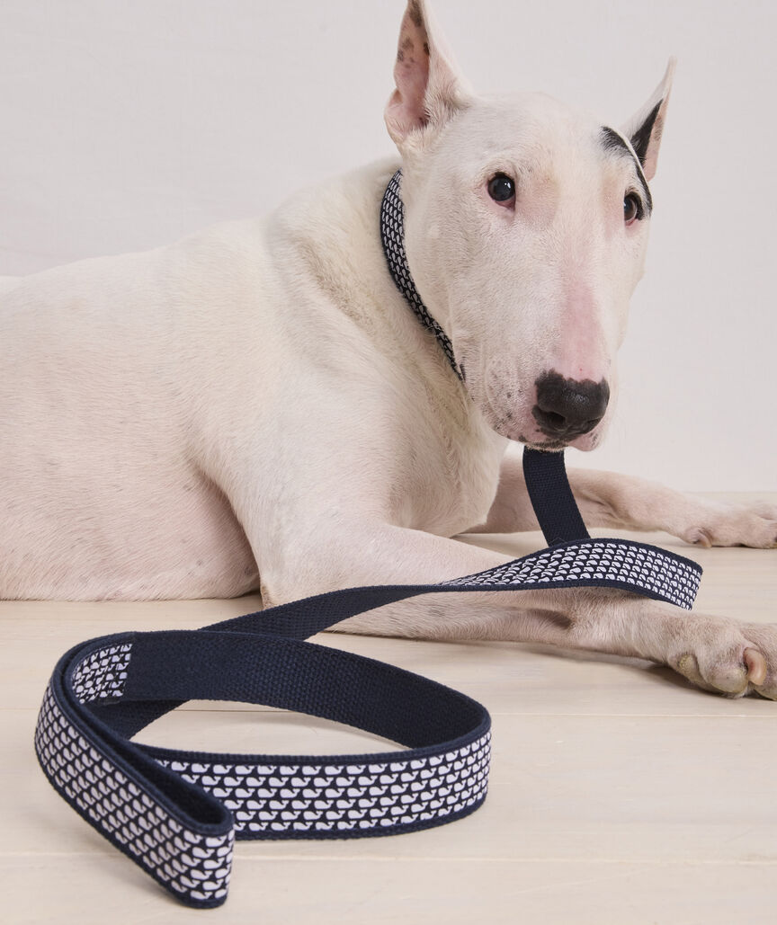 Micro Whale Leather Canvas Club Dog Leash
