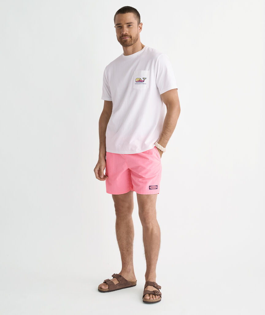 6 Inch Island Swim Trunks