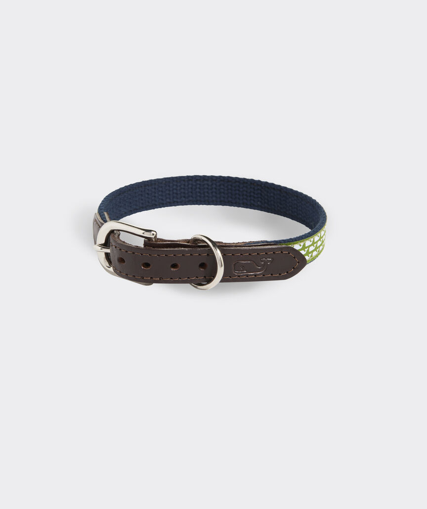 Micro Whale Leather Canvas Club Dog Collar